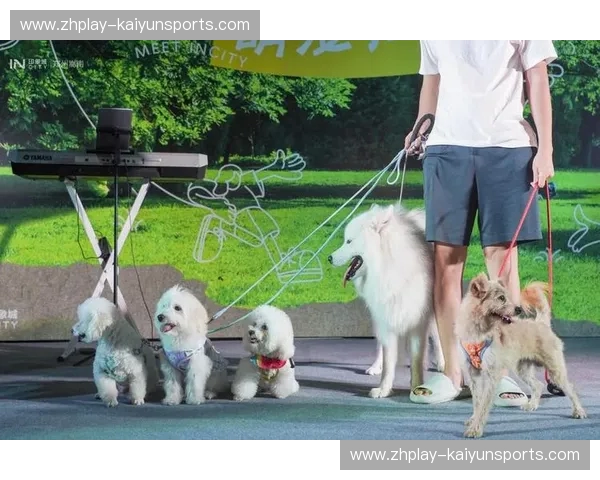 西班牙队赛程：激情连连，追随斗牛士的每一步